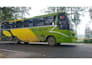 create professional bus videos for your project